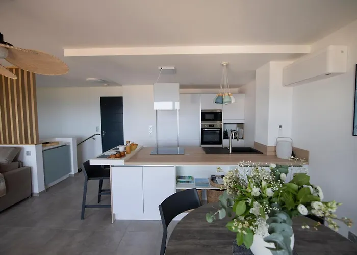 Magnifique T3 Duplex Vue Panoramique Golfe Ajaccio Appartement